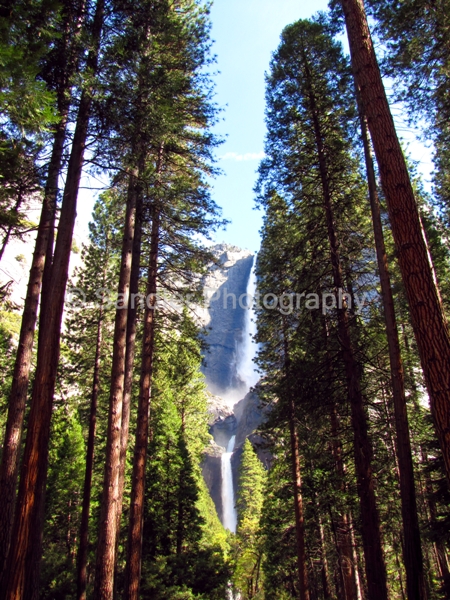 http://www.sandlerphotography.com/Photos/Yosemite Falls-1866 -2 -LR.JPG